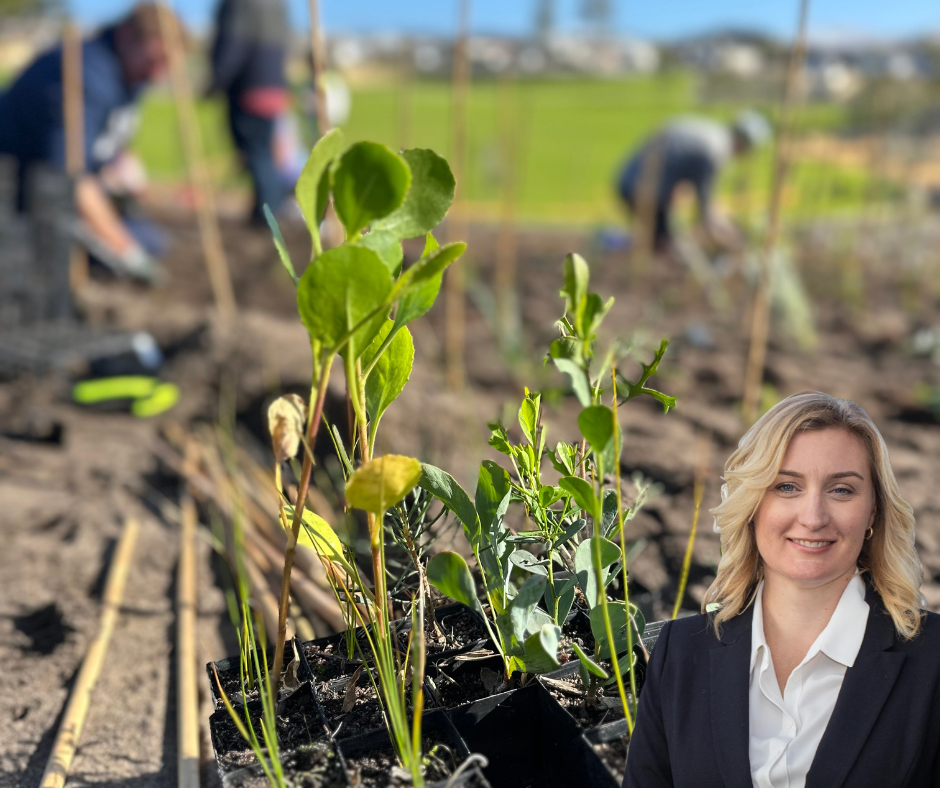 Help Design Brentwood's Community Forest Main Image