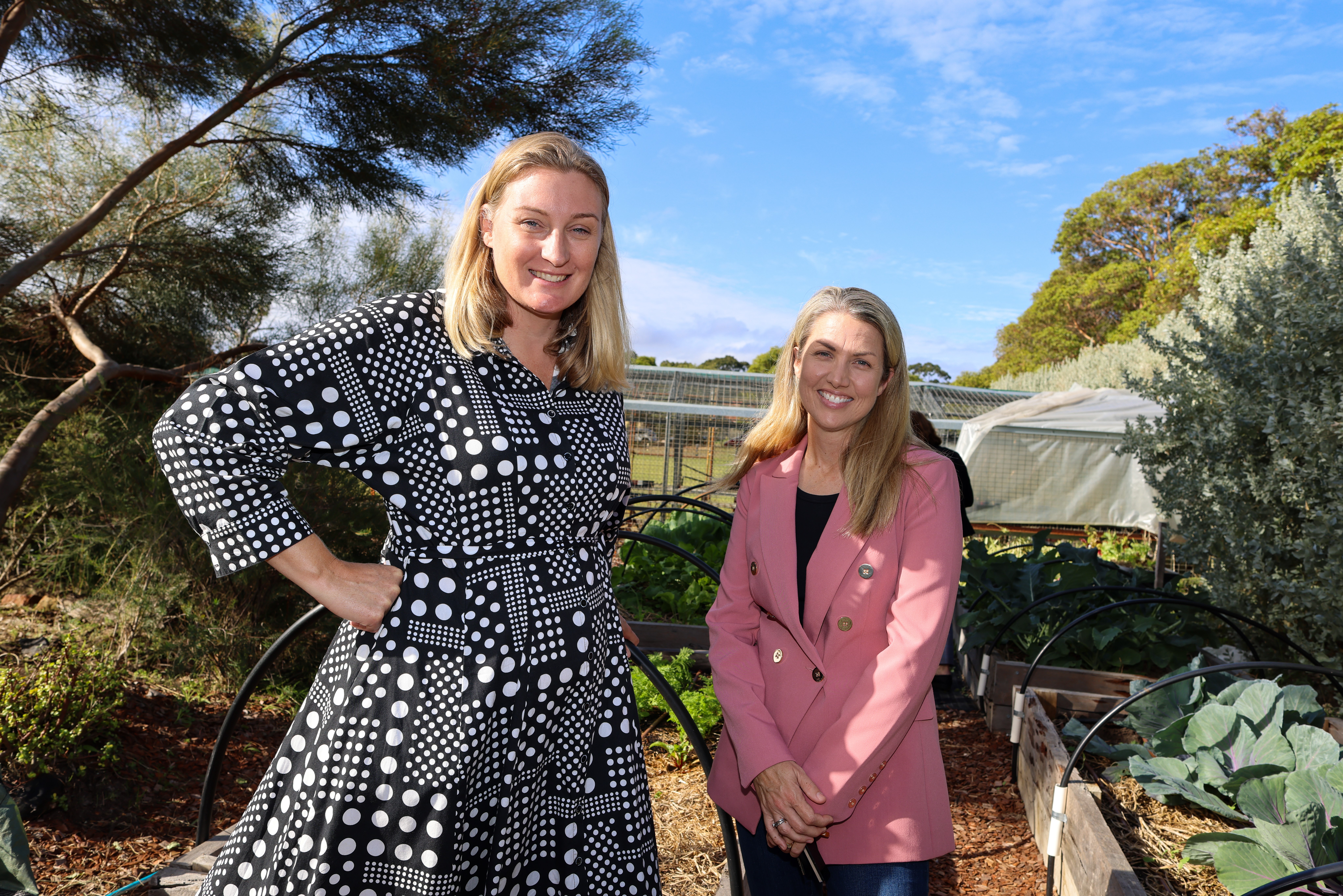 $80,000 for Sustainability Upgrades for Ardross Primary School Main Image