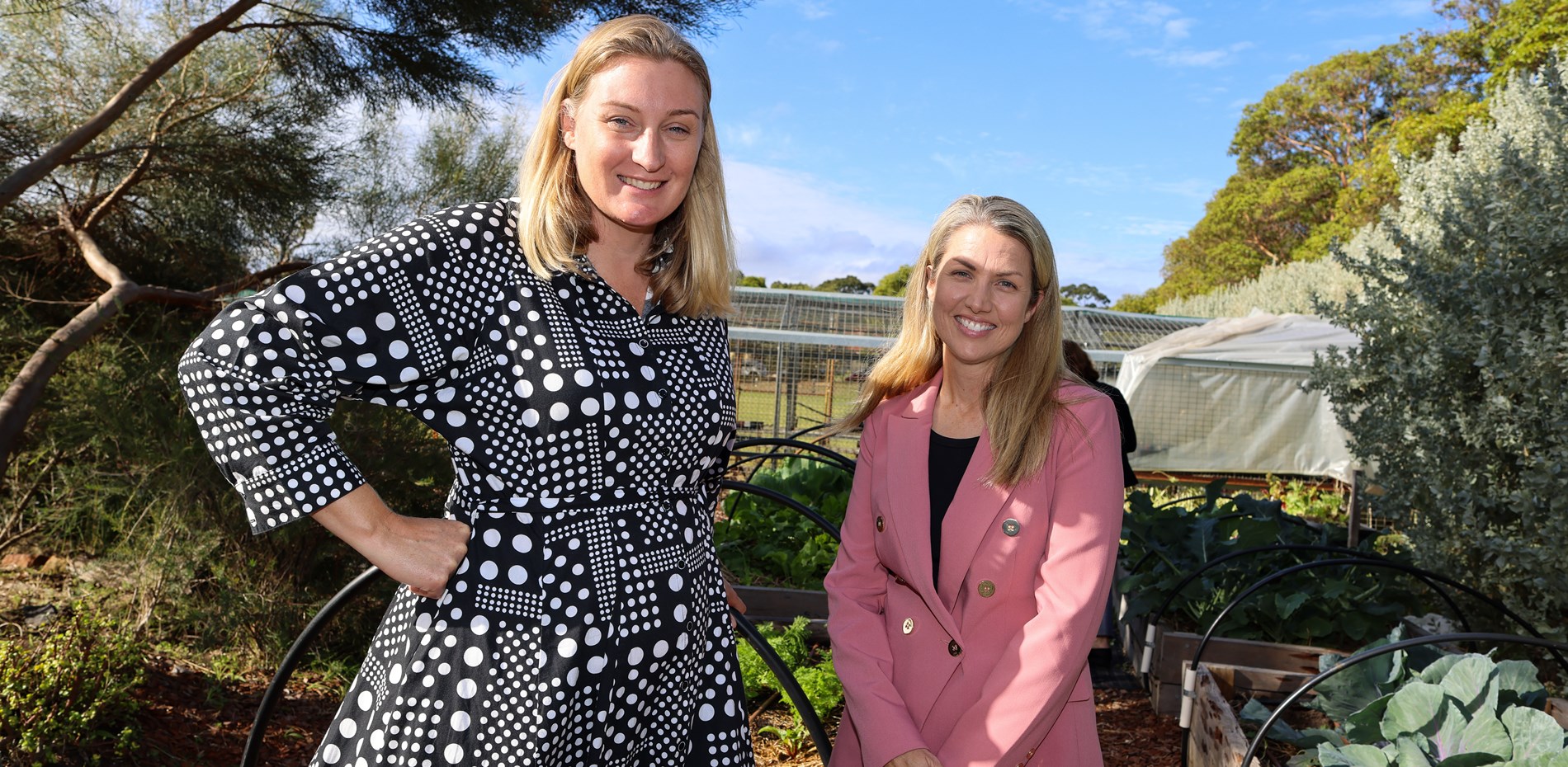 $80,000 for Sustainability Upgrades for Ardross Primary School Main Image