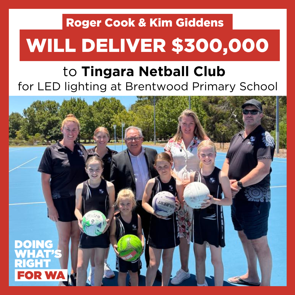 MAJOR COMMITMENT - $300,000 for Tingara Netball Club Lighting Upgrades Main Image